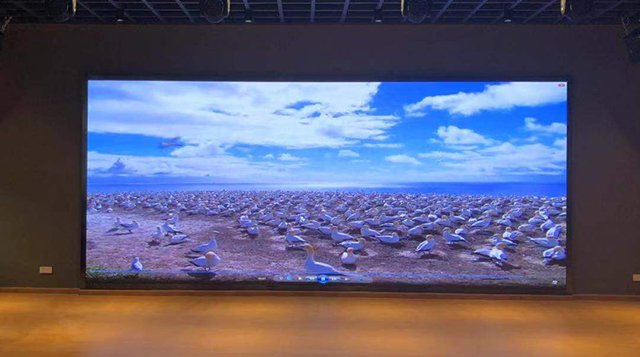 上海某校園超大P2.5LED顯示屏由智彩科技承制 上海某校園超大P2.5LED顯示屏由智彩科技承制